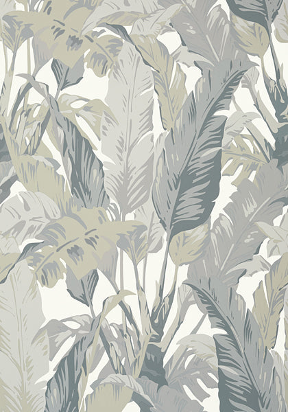 Thibaut Palm Print Wallpaper