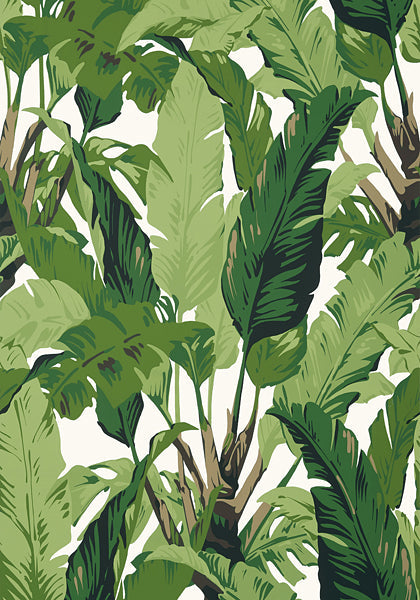 Thibaut Palm Print Wallpaper