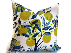 Schumacher Citrus Garden Pillow Cover in Pool